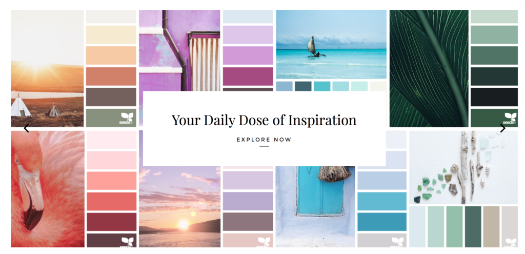 Design Seeds Color Inspiration for Social Media Branding 