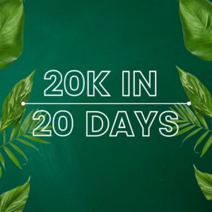 20k in 20 days